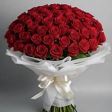 Букет 101 Красная роза Блэк Мэджик #REPLACE_PRED# Зональной Станции