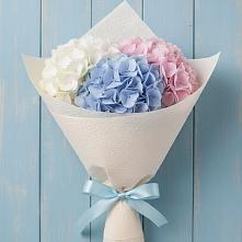 Букет цветов из:  Гортензия в Зональной Станции