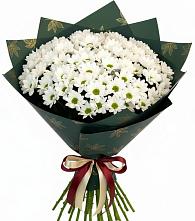 Букет цветов из:  Хризантемы в Зональной Станции