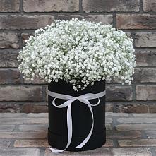 Цветочная композиция из Гипсофила в шляпной коробке #REPLACE_PRED# Зональной Станции