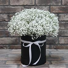 Цветочная композиция из Гипсофила в шляпной коробке в Зональной Станции