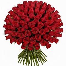 Букет Красные розы Чери Лав в Зональной Станции