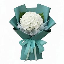 Букет цветов из:  Гортензия в Зональной Станции